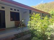 Palm Homestay Kuta