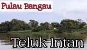 Top Teluk Intan