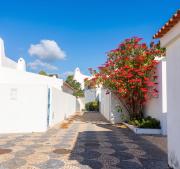 Top Alvor