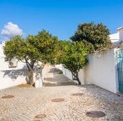 Top Alvor