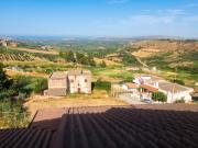 Top Ribera