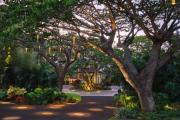 Top Lahaina