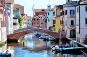 Top Chioggia