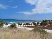 Top Alicante