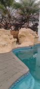 Choosers Palace Boutique Hotel