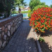 Top Fethiye