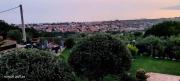Top Ascea