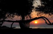 TottyHouse Gili Trawangan
