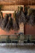 Top Nizza Monferrato Top Nizza Monferrato
