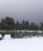 Top Rangeley