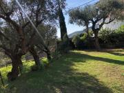 Top Pietrasanta