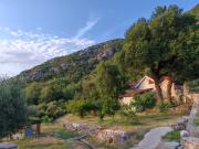 Top Kotor