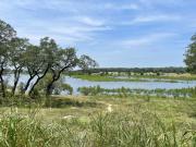 Top Canyon Lake
