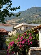 Bahab Plus Guest House