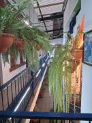 Top Quetzaltenango