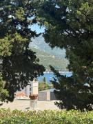 Top Budva