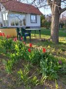 Top Negotin