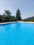 Top Vidrá