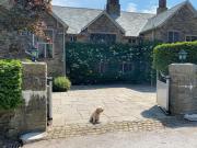 Top Disley