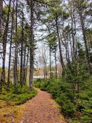 Lake front cottage 5 bedrooms bright open concept