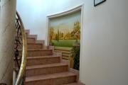 Top Belgrade