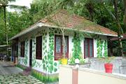 Top Wayanad