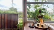 Top Chiang Mai