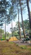 Top Bayu-kidul