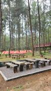 Top Bayu-kidul