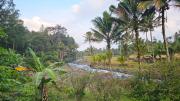 Top Bayu-kidul