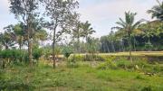 Top Bayu-kidul