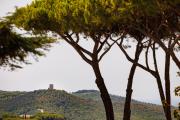 Top Castagneto Carducci