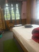 Top Sonāda