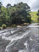 Top Vagamon