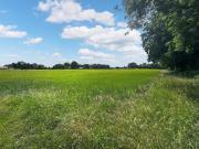 Top Hevingham Top Hevingham