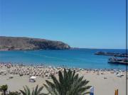 Top Arona