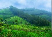 Leo Homestay