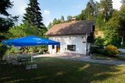 Bled home by the lake