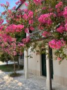 Top Isernia