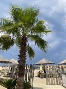 Top Ortona