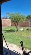 Top La Punta