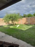 Top La Punta