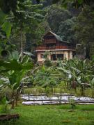 Top Timbanglawang Top Timbanglawang