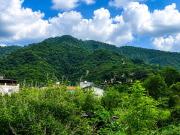 Top Dehradun