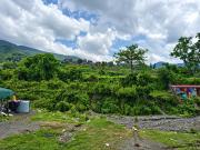 Top Dehradun