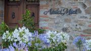 Top Lastra a Signa