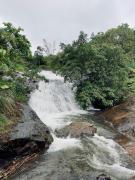 Top Vagamon