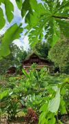 Bukit Lawang - Batu Kapal Rimba House