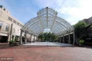 Top Reston