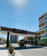 Top Pyla
